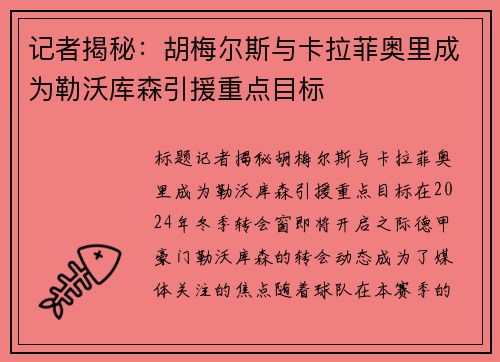 记者揭秘：胡梅尔斯与卡拉菲奥里成为勒沃库森引援重点目标