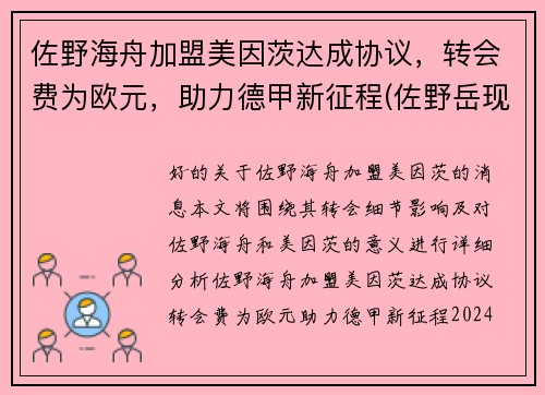 佐野海舟加盟美因茨达成协议，转会费为欧元，助力德甲新征程(佐野岳现状)